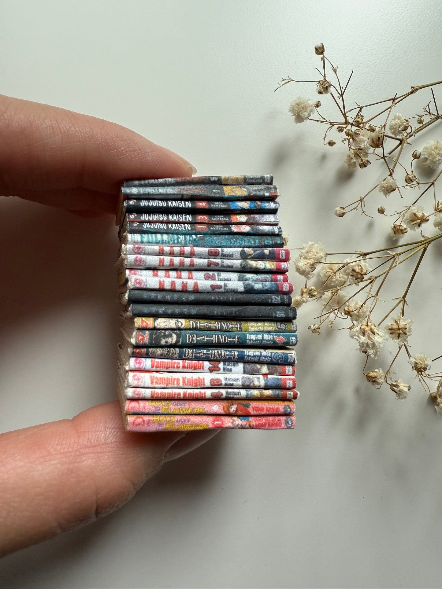 Mini Manga books